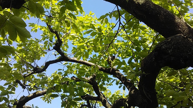 f:id:stantsiya_iriya:20190508234625j:plain f:id:stantsiya_iriya:20190508234625j:plain