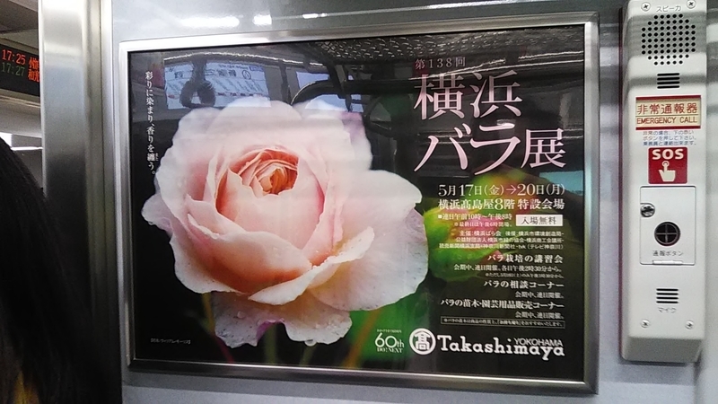 f:id:stantsiya_iriya:20190509085224j:plain f:id:stantsiya_iriya:20190509085224j:plain