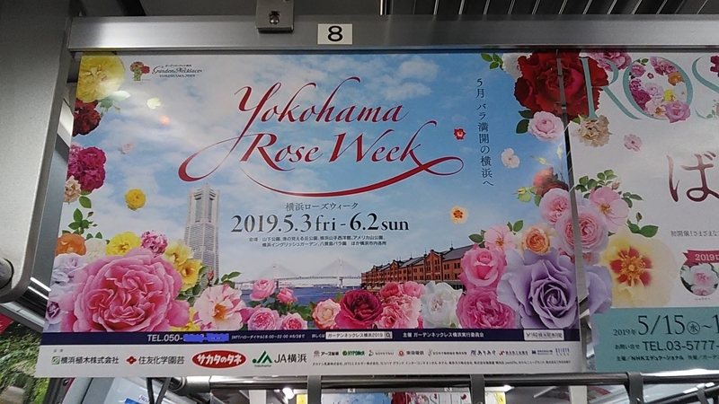 f:id:stantsiya_iriya:20190509085226j:plain f:id:stantsiya_iriya:20190509085226j:plain