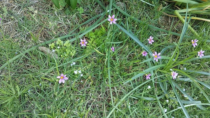 f:id:stantsiya_iriya:20190512123052j:plain