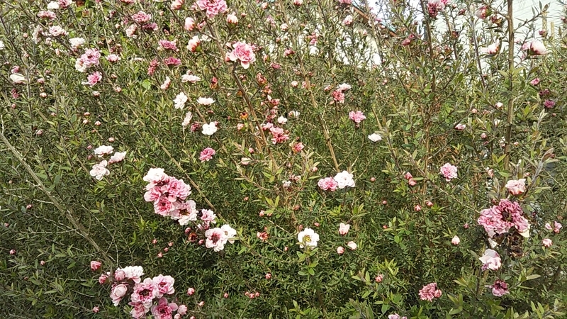 f:id:stantsiya_iriya:20190512123102j:plain