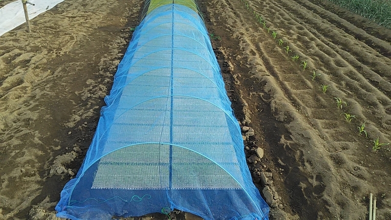 f:id:stantsiya_iriya:20190512123110j:plain