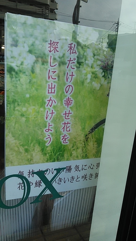 f:id:stantsiya_iriya:20190517212605j:plain f:id:stantsiya_iriya:20190517212605j:plain
