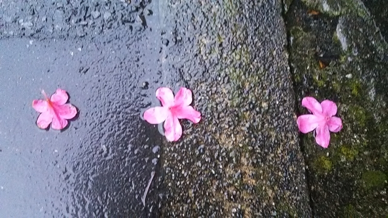 f:id:stantsiya_iriya:20190610205731j:plain f:id:stantsiya_iriya:20190610205731j:plain