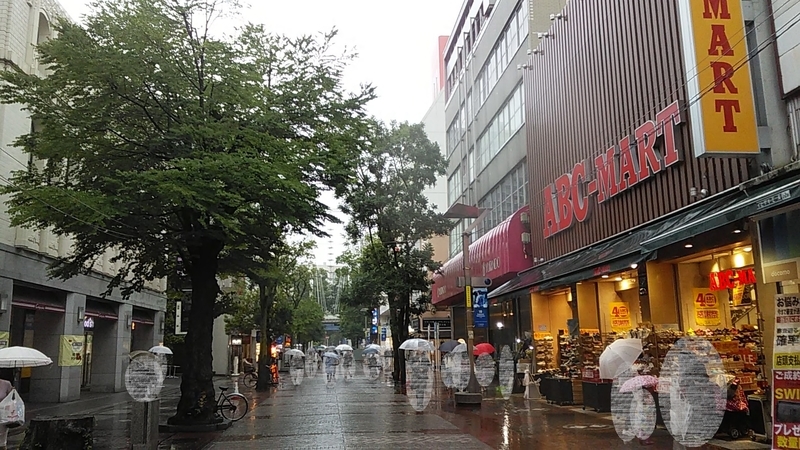 f:id:stantsiya_iriya:20190614232108j:plain f:id:stantsiya_iriya:20190614232108j:plain