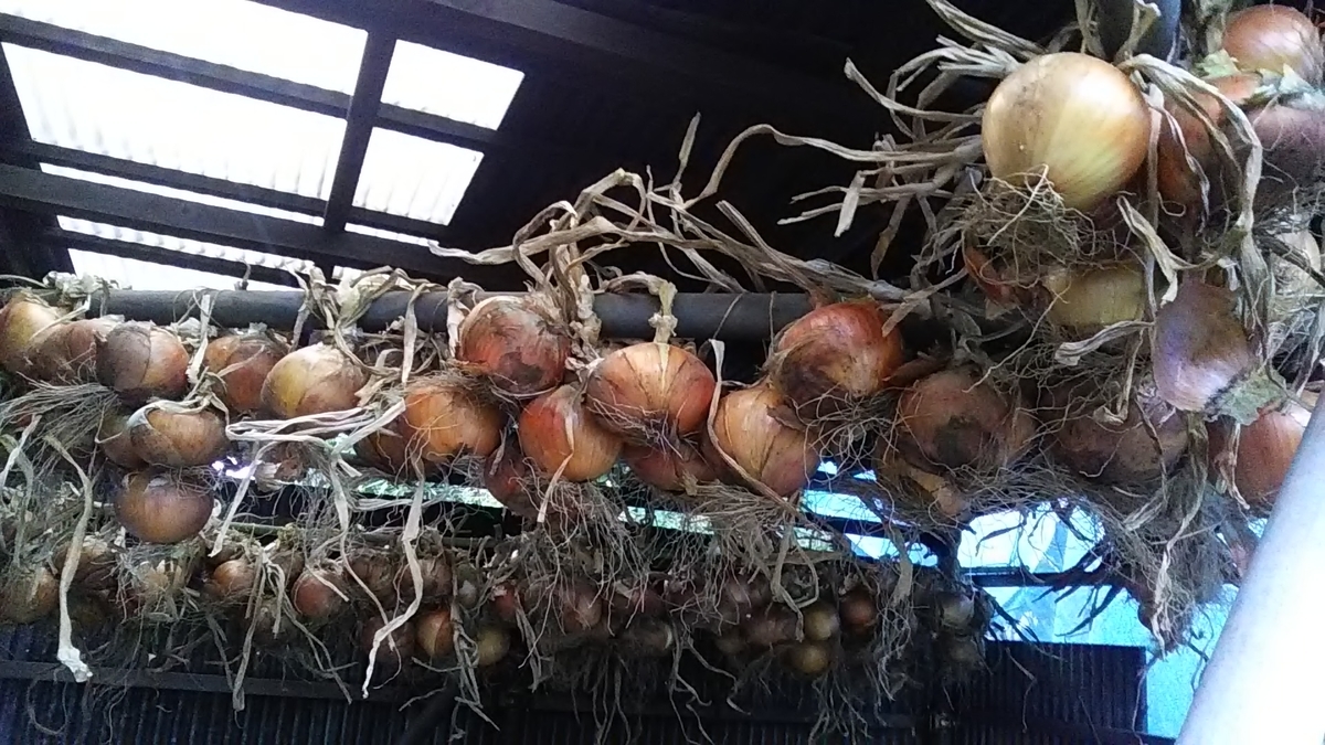 f:id:stantsiya_iriya:20190621212221j:plain f:id:stantsiya_iriya:20190621212221j:plain