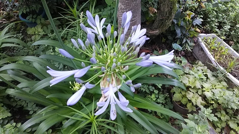 f:id:stantsiya_iriya:20190623144738j:plain f:id:stantsiya_iriya:20190623144738j:plain