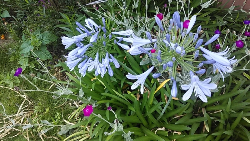 f:id:stantsiya_iriya:20190623144756j:plain f:id:stantsiya_iriya:20190623144756j:plain