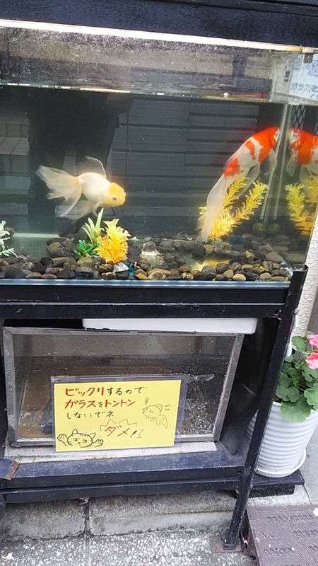 f:id:stantsiya_iriya:20190624082517j:plain f:id:stantsiya_iriya:20190624082517j:plain
