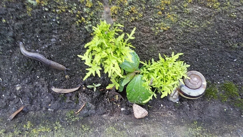 f:id:stantsiya_iriya:20190626112934j:plain f:id:stantsiya_iriya:20190626112934j:plain