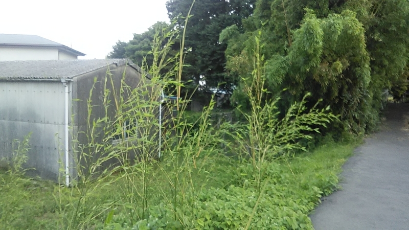 f:id:stantsiya_iriya:20190626193235j:plain f:id:stantsiya_iriya:20190626193235j:plain
