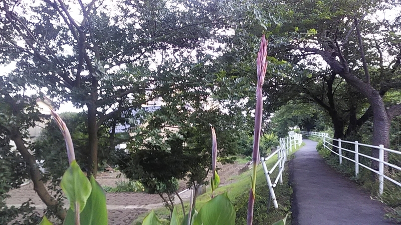 f:id:stantsiya_iriya:20190626193243j:plain f:id:stantsiya_iriya:20190626193243j:plain