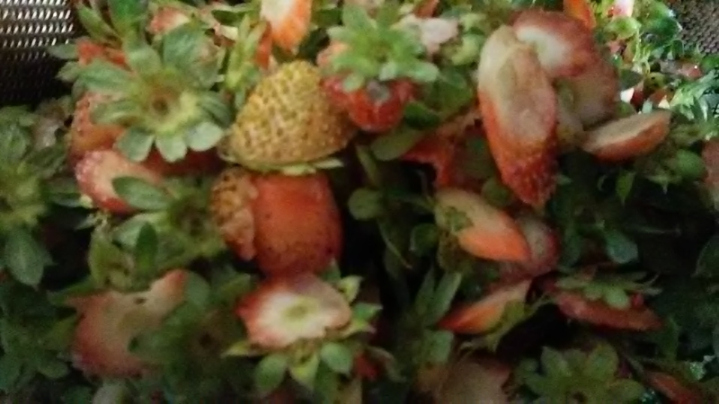 f:id:stantsiya_iriya:20190628161107j:plain