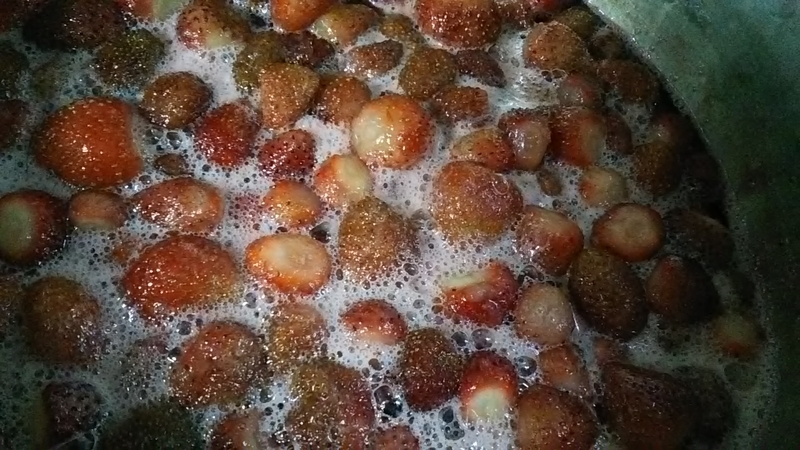 f:id:stantsiya_iriya:20190628161125j:plain