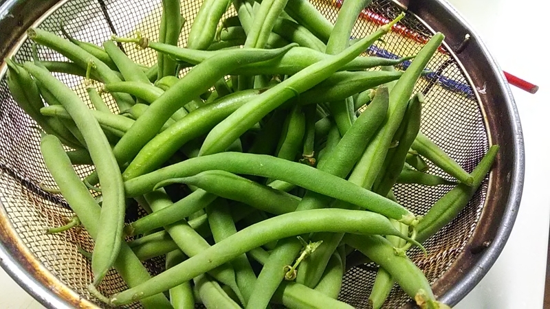 f:id:stantsiya_iriya:20190628170159j:plain