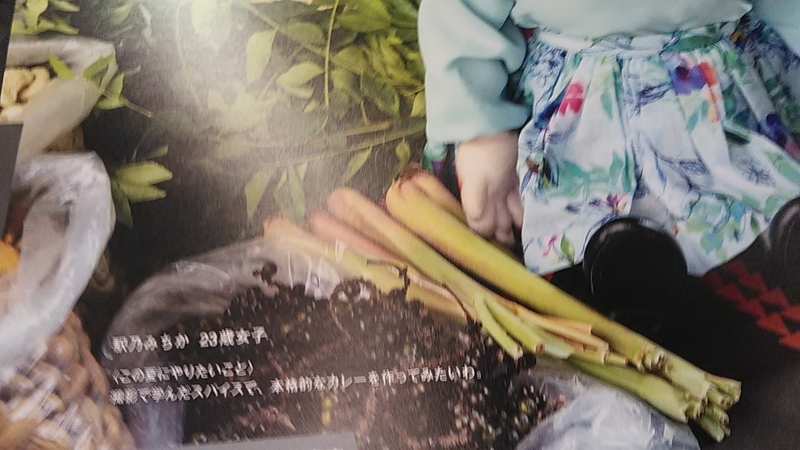 f:id:stantsiya_iriya:20190628171738j:plain