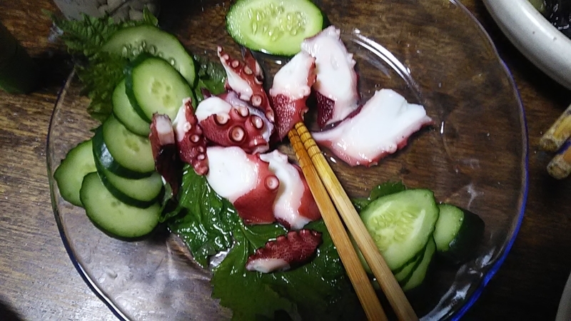 f:id:stantsiya_iriya:20190702201342j:plain f:id:stantsiya_iriya:20190702201342j:plain