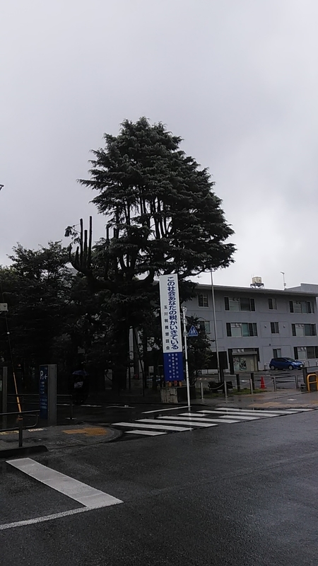 f:id:stantsiya_iriya:20190721165542j:plain f:id:stantsiya_iriya:20190721165542j:plain