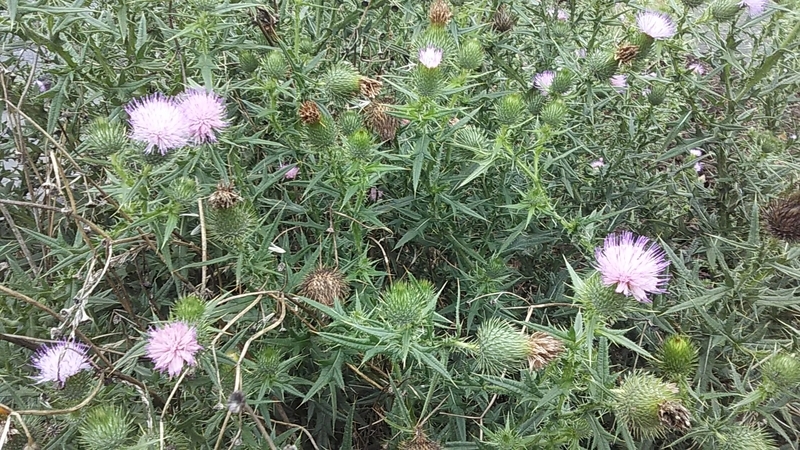 f:id:stantsiya_iriya:20190721165844j:plain f:id:stantsiya_iriya:20190721165844j:plain