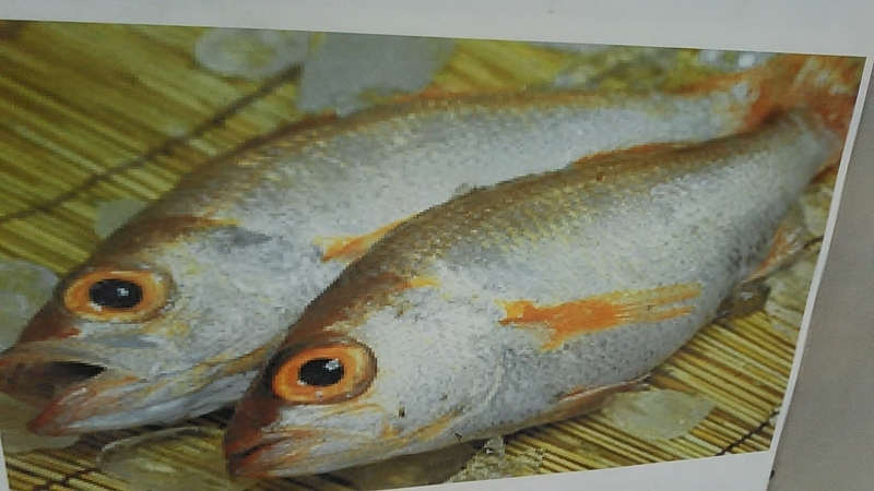 f:id:stantsiya_iriya:20190721184344j:plain