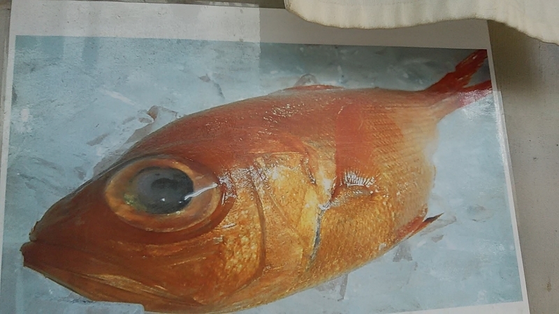 f:id:stantsiya_iriya:20190721184354j:plain