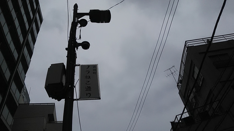 f:id:stantsiya_iriya:20190721213949j:plain