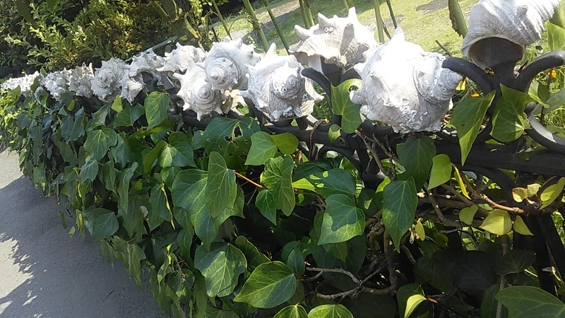 f:id:stantsiya_iriya:20190731212503j:plain