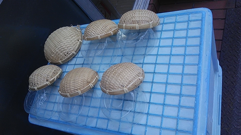 f:id:stantsiya_iriya:20190811204303j:plain