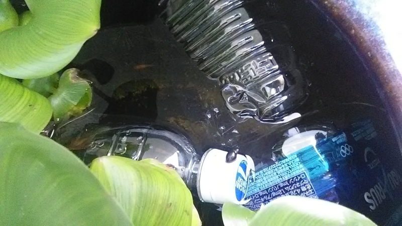 f:id:stantsiya_iriya:20190811210634j:plain