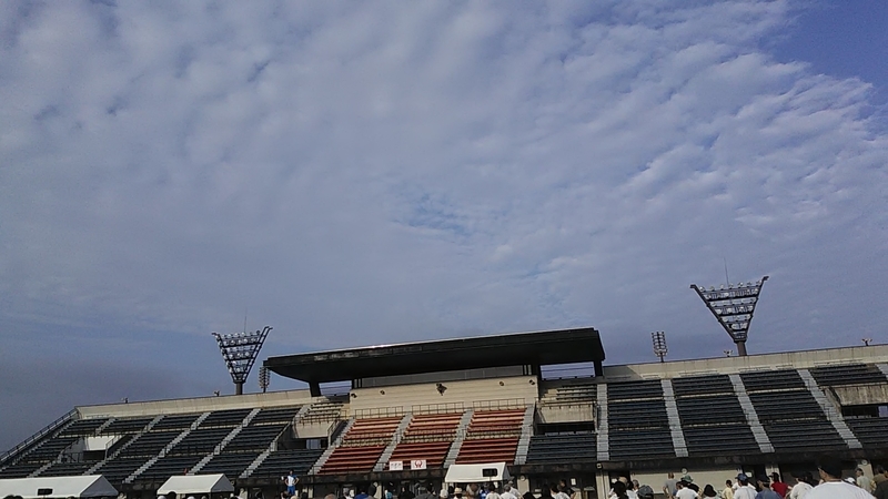 f:id:stantsiya_iriya:20190821143618j:plain