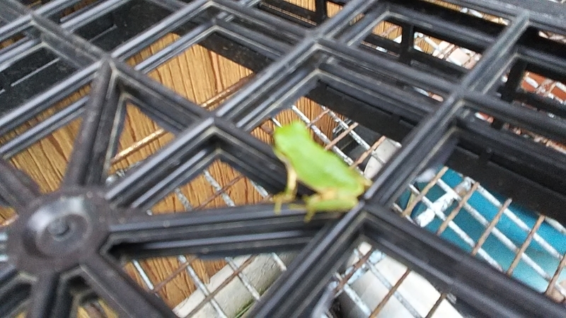 f:id:stantsiya_iriya:20190822165636j:plain