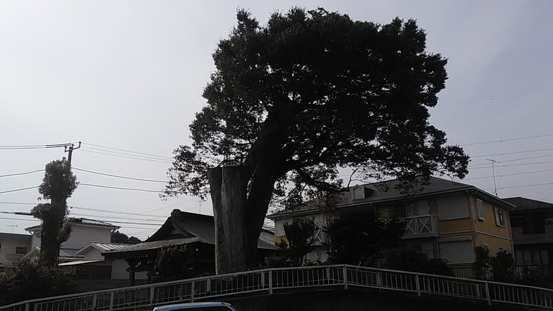 f:id:stantsiya_iriya:20190827221539j:plain f:id:stantsiya_iriya:20190827221539j:plain
