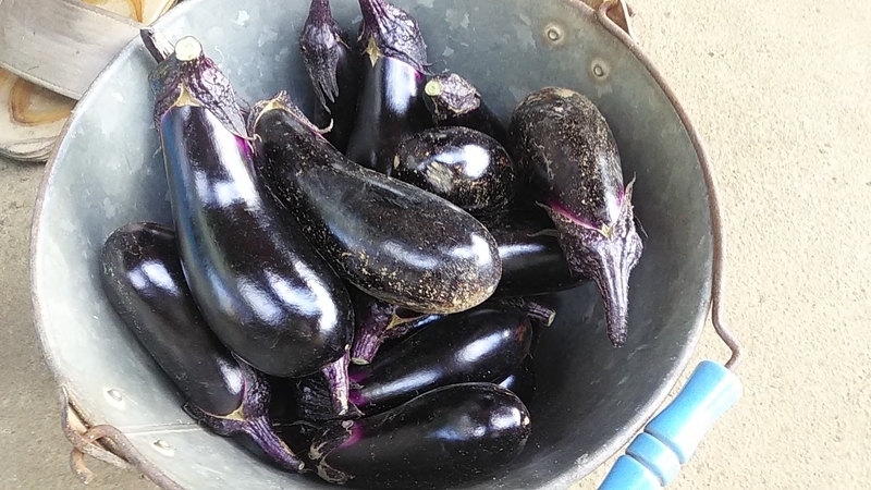f:id:stantsiya_iriya:20190829160601j:plain f:id:stantsiya_iriya:20190829160601j:plain