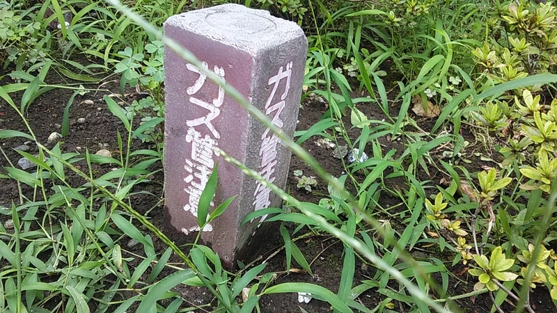 f:id:stantsiya_iriya:20190831175833j:plain f:id:stantsiya_iriya:20190831175833j:plain