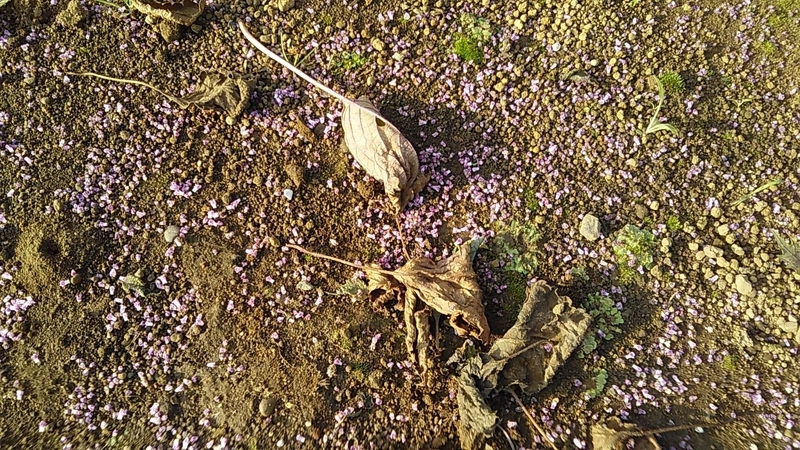 f:id:stantsiya_iriya:20190930205923j:plain