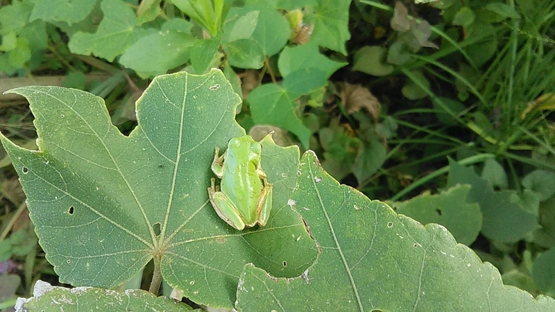 f:id:stantsiya_iriya:20190930210026j:plain