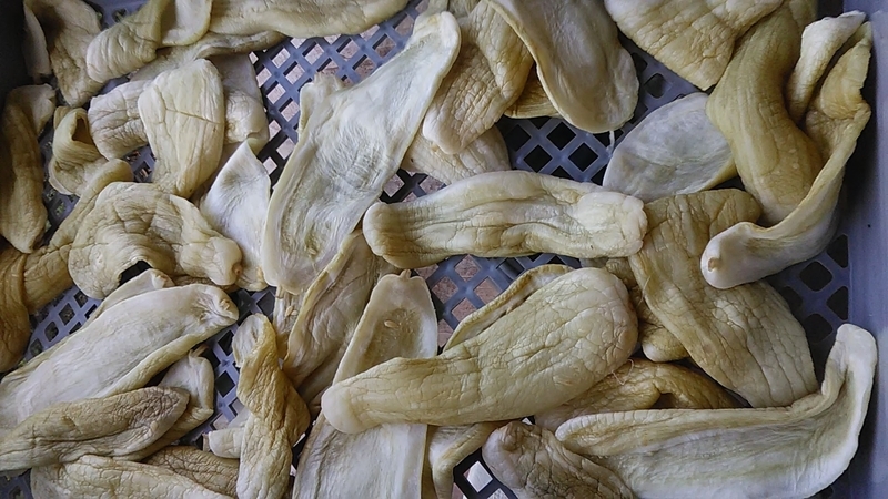 f:id:stantsiya_iriya:20190930210103j:plain