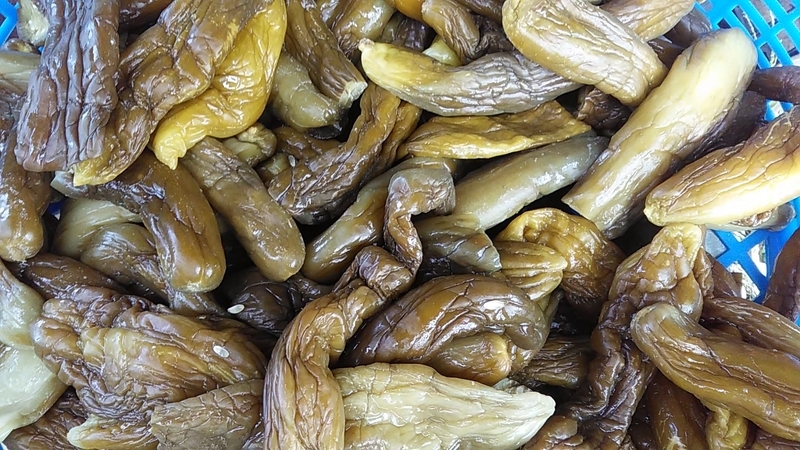 f:id:stantsiya_iriya:20190930210117j:plain