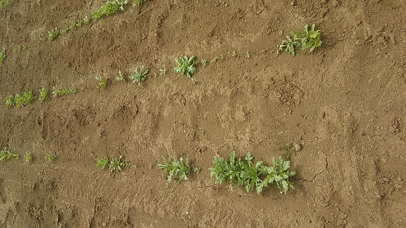 f:id:stantsiya_iriya:20191003180504j:plain