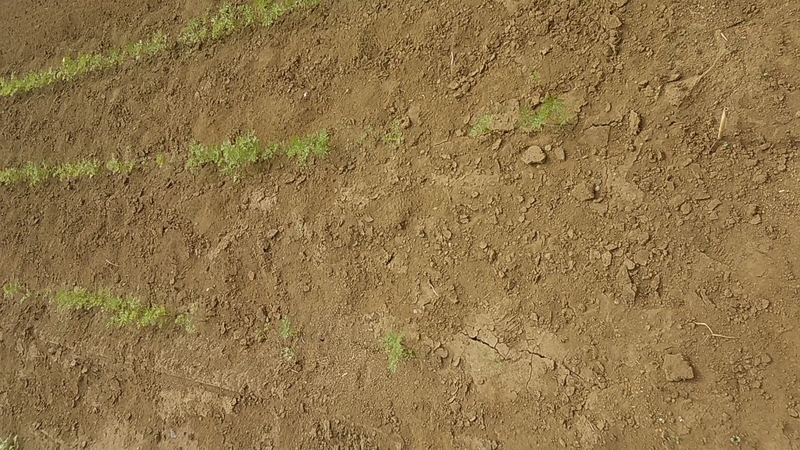 f:id:stantsiya_iriya:20191003180510j:plain