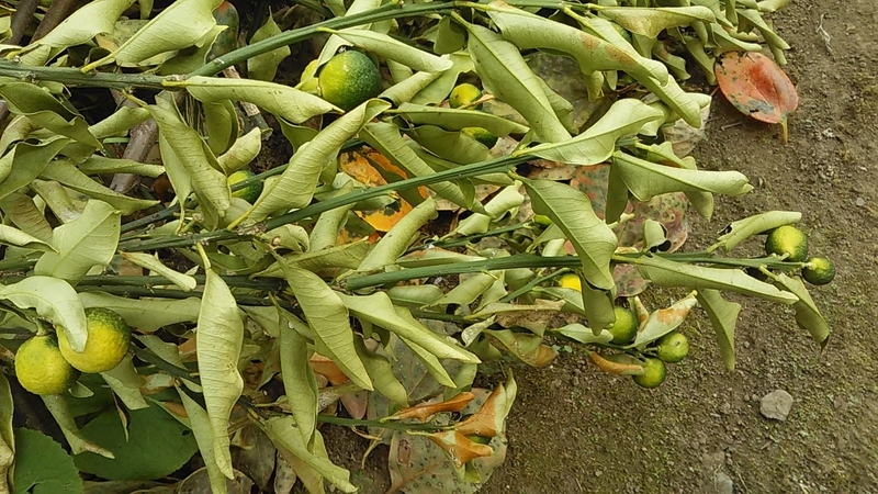 f:id:stantsiya_iriya:20191003180517j:plain