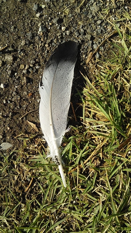 f:id:stantsiya_iriya:20191101191703j:plain