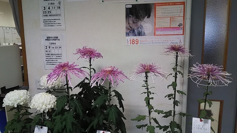 f:id:stantsiya_iriya:20191105192035j:plain