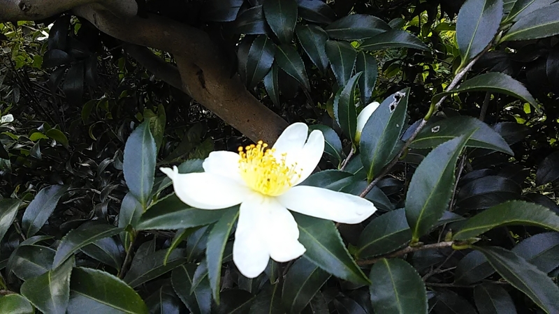 f:id:stantsiya_iriya:20191105192101j:plain