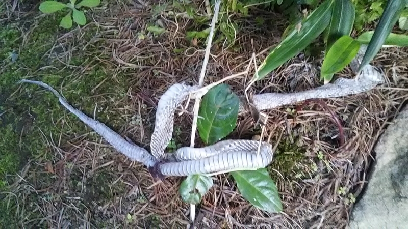 f:id:stantsiya_iriya:20191105192130j:plain