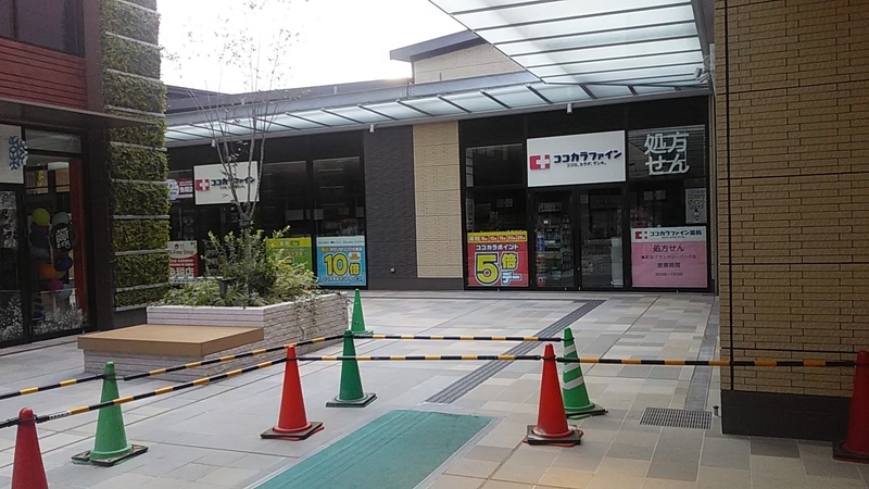 f:id:stantsiya_iriya:20191110110307j:plain