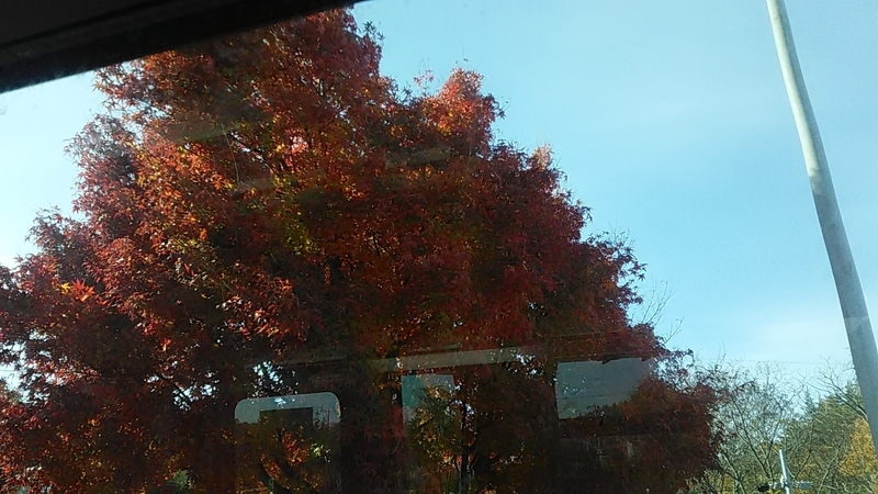 f:id:stantsiya_iriya:20191118185555j:plain f:id:stantsiya_iriya:20191118185555j:plain