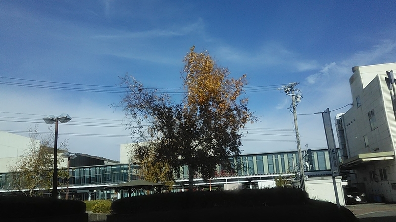 f:id:stantsiya_iriya:20191118185835j:plain f:id:stantsiya_iriya:20191118185835j:plain