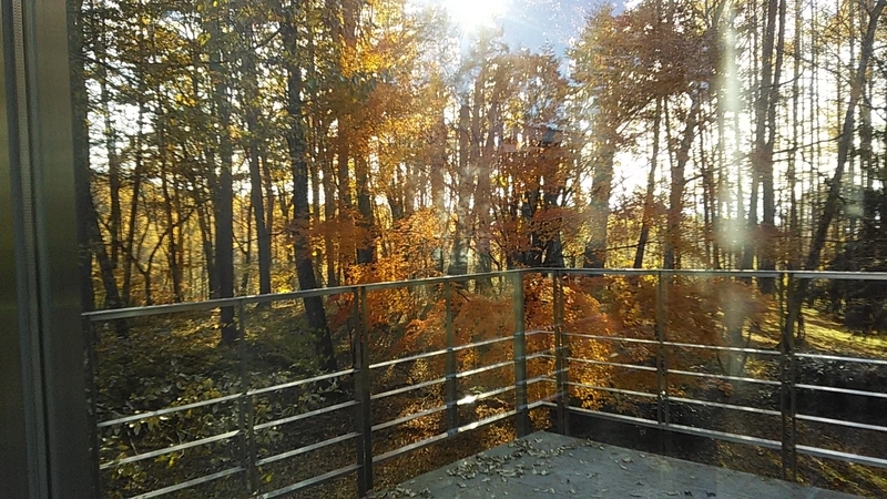 f:id:stantsiya_iriya:20191118190201j:plain f:id:stantsiya_iriya:20191118190201j:plain