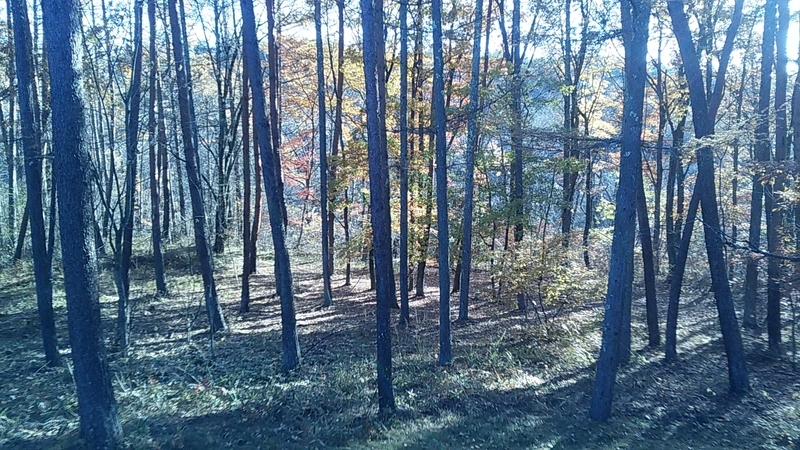 f:id:stantsiya_iriya:20191118190208j:plain f:id:stantsiya_iriya:20191118190208j:plain